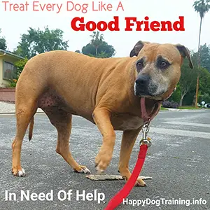 Treat Every Dog Like a Good Friend In Need of Help - Chad Mackin