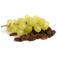 Are Grapes and Raisins Poisonous to Dogs?