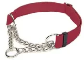 Dog Collars: Martingale Collar